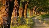 什么是足球比分-什么是足球比分，赛场风云的数字密码
