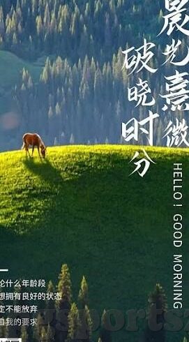 最常出的足球比分-探寻绿茵场上的经典密码，最常出的足球比分背后的逻辑与故事